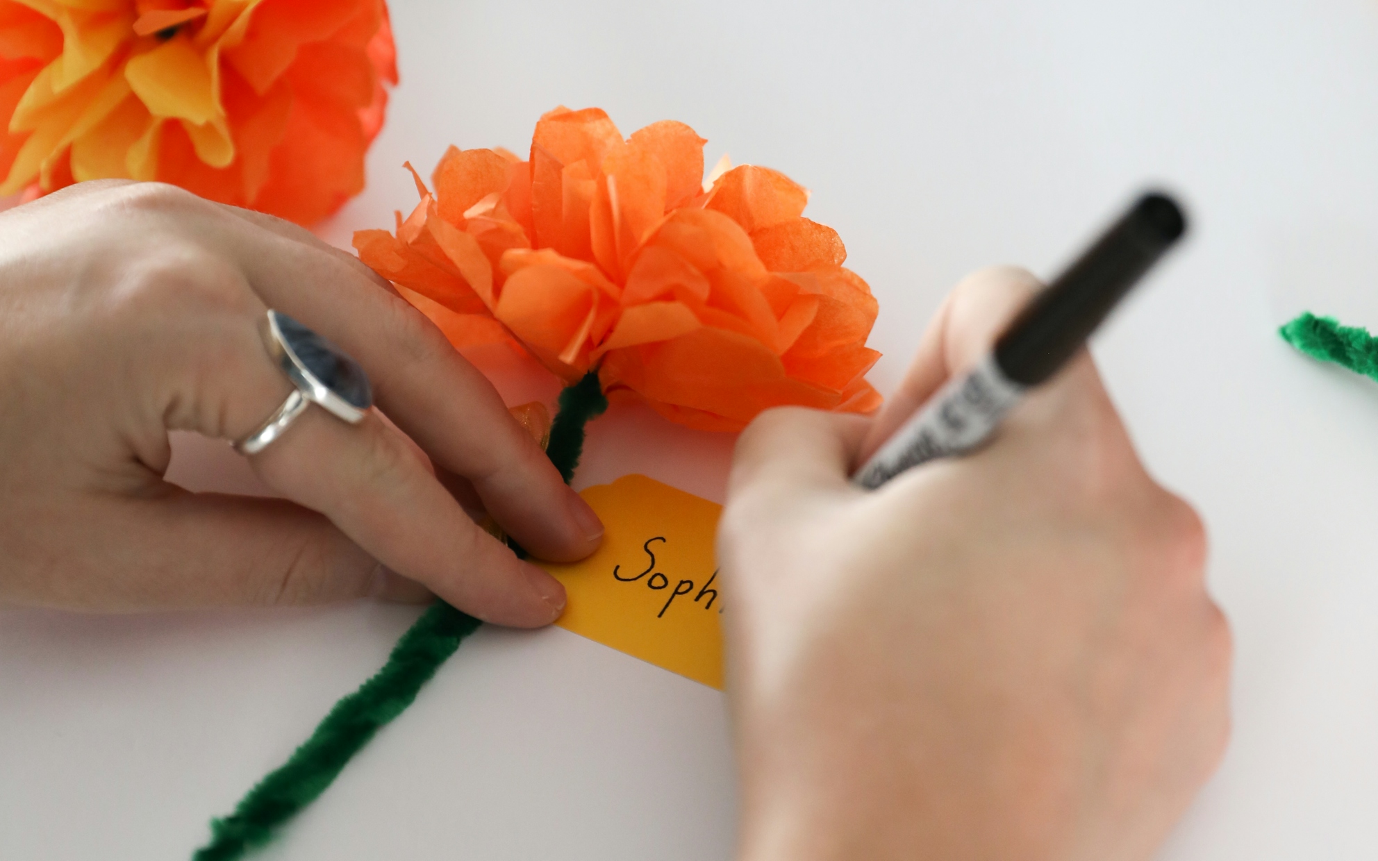 Endangered Species Portfolio Andy Warhol Grand Rapids Art Museum endangered-species-portfolio-andy-warhol-grand-rapids-art-museum